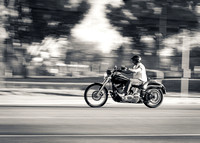 Week 14 "Panning"