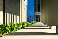 Week 16 "Leading Lines"